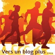 Sondage Sondage