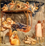 medium_natale_20giotto.jpg