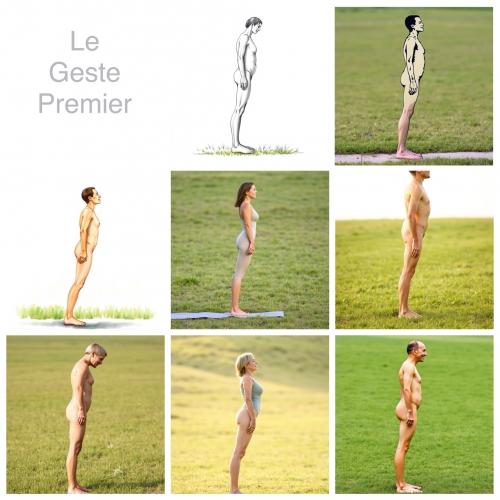 geste premier, flux intégral